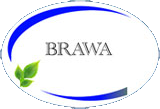 brawa